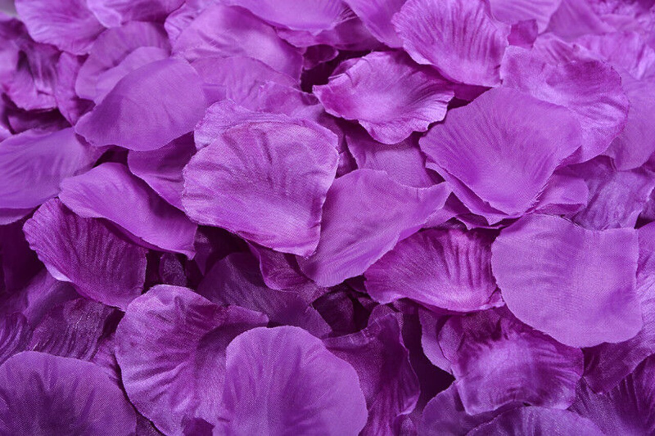 Kitcheniva Multicolor Silk Rose Petals DIY Craft & Party Decor 1000 Pcs